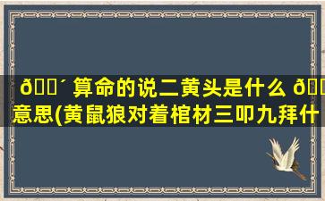 🌴 算命的说二黄头是什么 🕊 意思(黄鼠狼对着棺材三叩九拜什么意思)